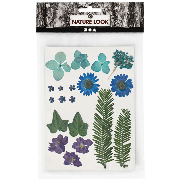 Getrocknete Blumen und Blätter Blau in der Gruppe Basteln & Hobby / Basteln / Scrapbooking bei Pen Store (130762)
