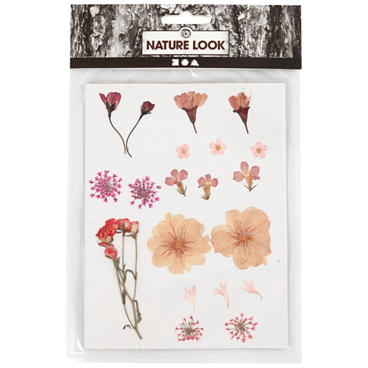 Getrocknete Blumen und Blätter Hellrosa in der Gruppe Basteln & Hobby / Basteln / Scrapbooking bei Pen Store (130763)