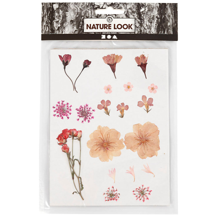 Getrocknete Blumen und Blätter Hellrosa in der Gruppe Basteln & Hobby / Techniken / Scrapbooking bei Pen Store (130763)