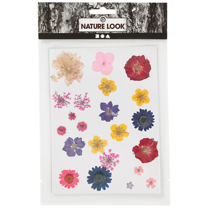 Getrocknete Blumen und Blätter Gemischte Farben in der Gruppe Basteln & Hobby / Techniken / Scrapbooking bei Pen Store (130767)
