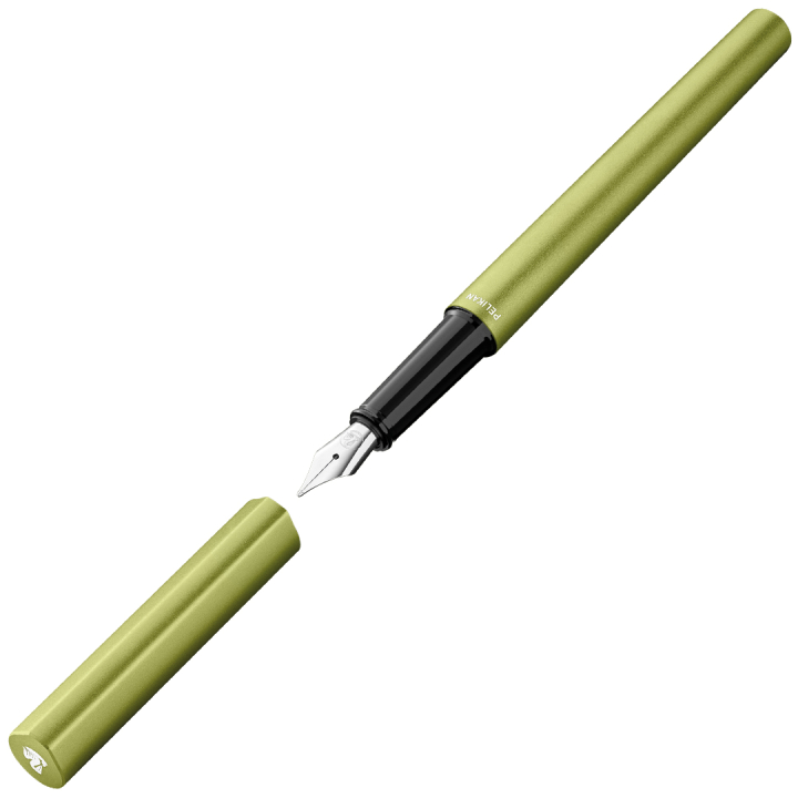 INEO Elements Füllfederhalter Green Oasis in der Gruppe Stifte / Fine Writing / Füllfederhalter bei Pen Store (135575)