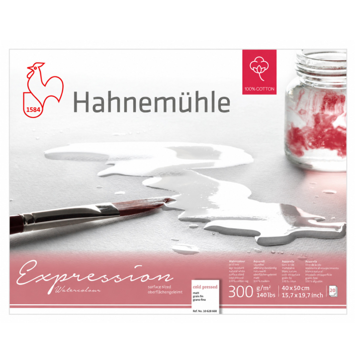 Aquarellpapier Expression 300 g Matt 40 x 50 cm in der Gruppe Papier & Blöcke / Künstlerblöcke / Aquarellpapier bei Pen Store (138056)