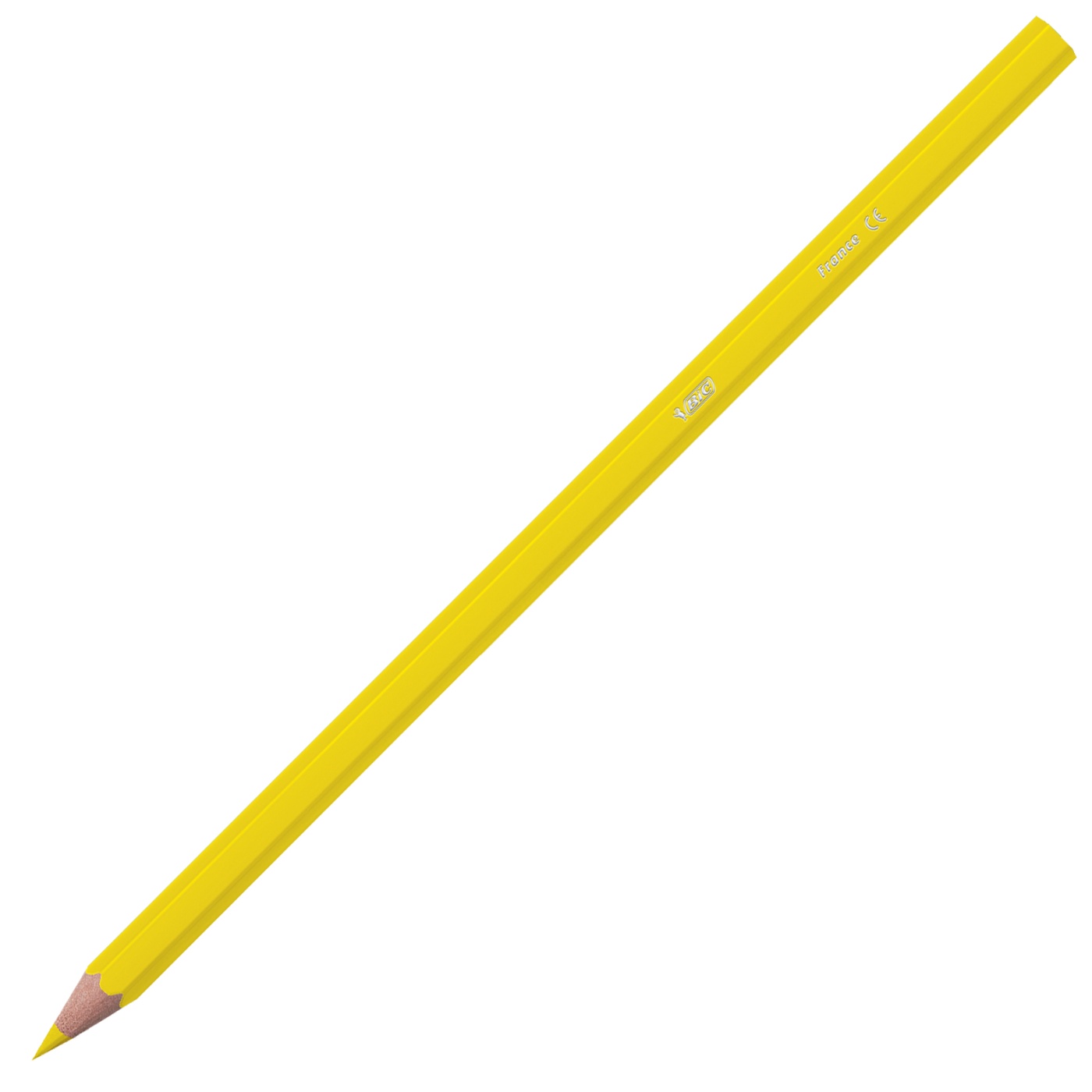BiC Kids Tropicolors Buntstifte – 18 Stück In Praktischer Verpackung, Ultra-robust & Leicht Zu Spitzen