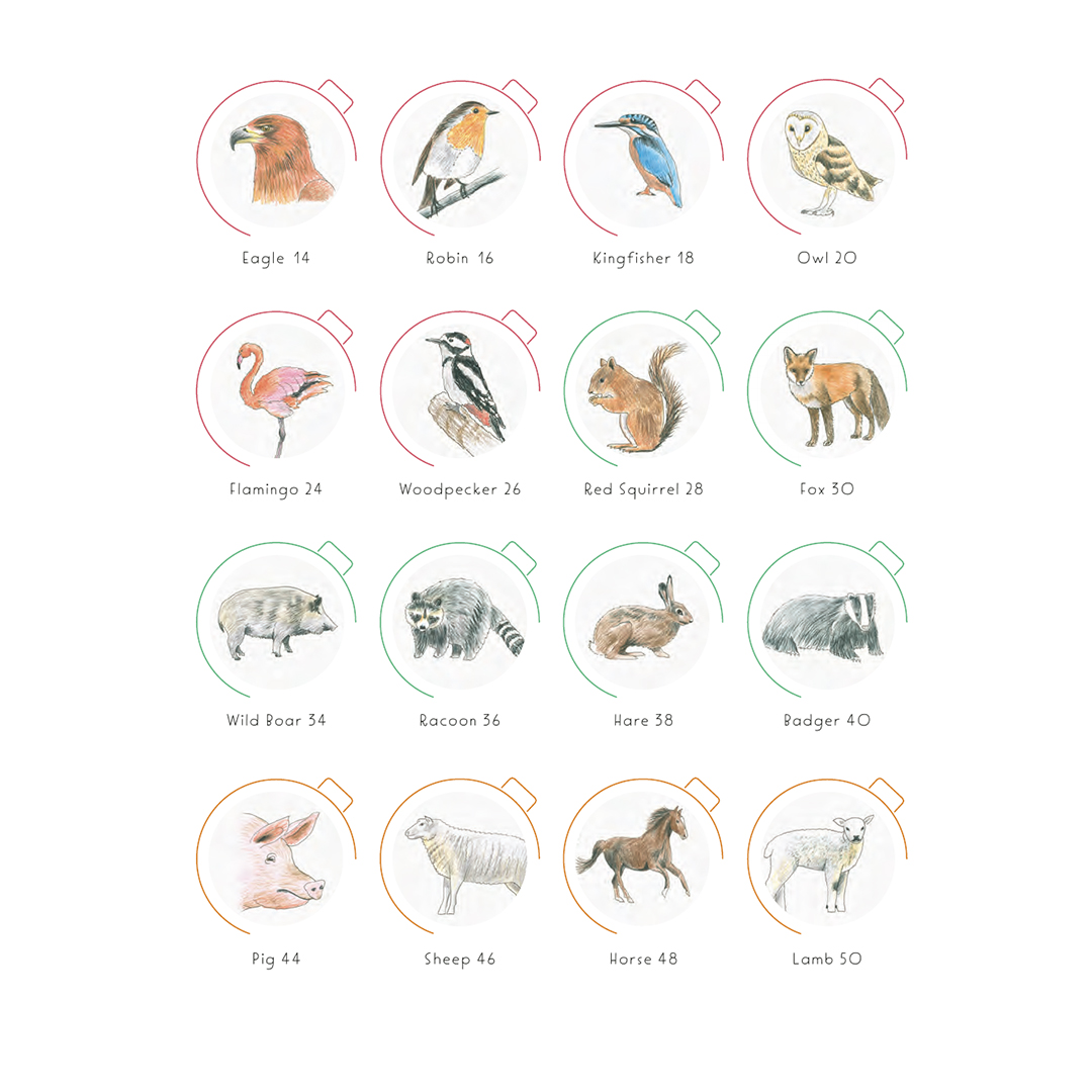 Draw in 10 Minutes: Animals