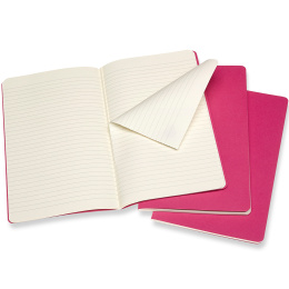 Cahier Notebook Large Pink in der Gruppe Produktreihen / Moleskine Cahier Collection bei Pen Store (100333_r)