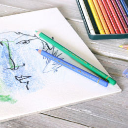 Polychromos einzeln in der Gruppe Stifte / Künstlerstifte / Buntstifte bei Pen Store (105856_r)