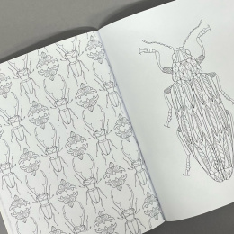 Wonderful Insects in der Gruppe Basteln & Hobby / Bücher / Malbücher für Erwachsene bei Pen Store (125501)