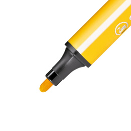 Trio Scribbi Filzstifte 14er-Pack in der Gruppe Kids / Stifte für Kinder / Filzstifte für Kinder bei Pen Store (127798)