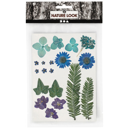 Getrocknete Blumen und Blätter Blau in der Gruppe Basteln & Hobby / Techniken / Scrapbooking bei Pen Store (130762)
