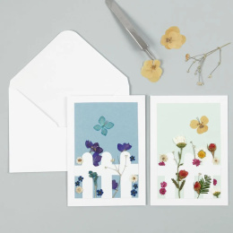 Getrocknete Blumen und Blätter Blau in der Gruppe Basteln & Hobby / Basteln / Scrapbooking bei Pen Store (130762)