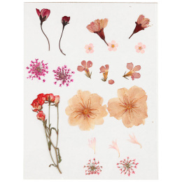 Getrocknete Blumen und Blätter Hellrosa in der Gruppe Basteln & Hobby / Basteln / Scrapbooking bei Pen Store (130763)