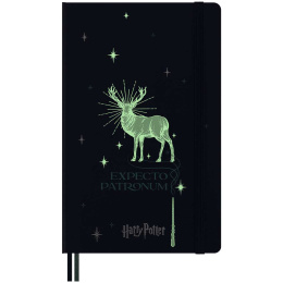 Hard Cover Notebook Large Harry Potter Expecto Patronum in der Gruppe Papier & Blöcke / Schreiben und Notizen / Notizbücher bei Pen Store (132483)