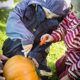 Werkzeug zum Kürbisschnitzen 5 Teile + Vorlagen in der Gruppe Basteln & Hobby / Feiertage und Jahreszeiten / Halloween bei Pen Store (132630)