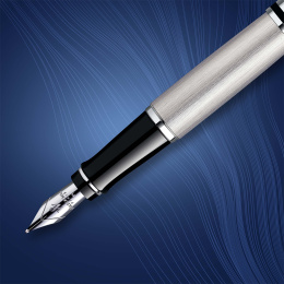 Expert Steel Füllfederhalter Medium in der Gruppe Stifte / Fine Writing / Füllfederhalter bei Pen Store (135462)
