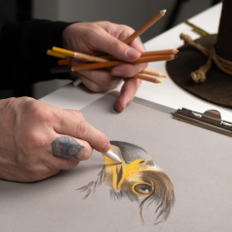 Eagle Zeichnungssatz 12 Teile in der Gruppe Stifte / Künstlerstifte / Pastellstifte bei Pen Store (135655)