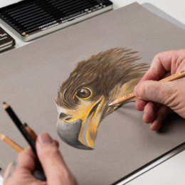 Eagle Zeichnungssatz 12 Teile in der Gruppe Stifte / Künstlerstifte / Pastellstifte bei Pen Store (135655)