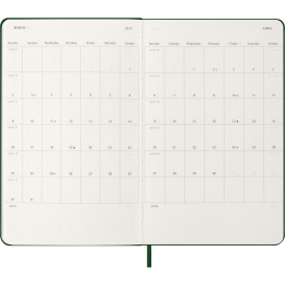 Kalender 12M Daily 2026 Hardcover Large Myrtle Green in der Gruppe Papier & Blöcke / Kalender und Terminkalender / 12 Monate Tageskalender bei Pen Store (136083)