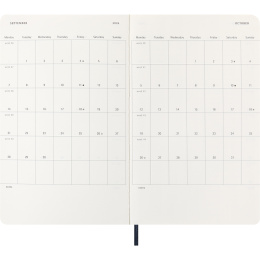 Kalender 12M Daily 2026 Softcover Large Sapphire Blue in der Gruppe Papier & Blöcke / Kalender und Terminkalender / 12 Monate Tageskalender bei Pen Store (136087)
