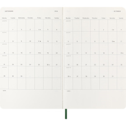 Kalender 12M Daily 2026 Softcover Large Myrtle Green in der Gruppe Papier & Blöcke / Kalender und Terminkalender / 12 Monate Tageskalender bei Pen Store (136088)
