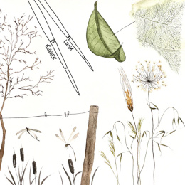 Pinsel Memory Point Liner 0 Stk. in der Gruppe Künstlerbedarf / Pinsel / Synthetische Pinsel bei Pen Store (136277)