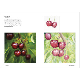 How to Draw a Tree: from the Fruit to the Forest in der Gruppe Basteln & Hobby / Bücher / Lehrbücher bei Pen Store (136291)