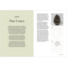 How to Draw a Tree: from the Fruit to the Forest in der Gruppe Basteln & Hobby / Bücher / Lehrbücher bei Pen Store (136291)