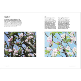 How to Draw a Tree: from the Fruit to the Forest in der Gruppe Basteln & Hobby / Bücher / Lehrbücher bei Pen Store (136291)