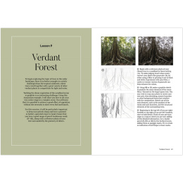 How to Draw a Tree: from the Fruit to the Forest in der Gruppe Basteln & Hobby / Bücher / Lehrbücher bei Pen Store (136291)