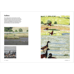 How to Draw a River: from the Source to the Sea in der Gruppe Basteln & Hobby / Bücher / Lehrbücher bei Pen Store (136292)