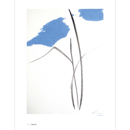 The Art of Sumi-e in der Gruppe Basteln & Hobby / Bücher / Inspirationsbücher bei Pen Store (136293)