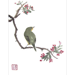 The Art of Sumi-e in der Gruppe Basteln & Hobby / Bücher / Inspirationsbücher bei Pen Store (136293)