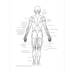Figure Drawing: A Complete Guide in der Gruppe Basteln & Hobby / Bücher / Inspirationsbücher bei Pen Store (136294)