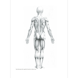 Figure Drawing: A Complete Guide in der Gruppe Basteln & Hobby / Bücher / Inspirationsbücher bei Pen Store (136294)
