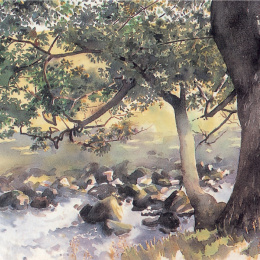 The Watercolour Artist's Bible in der Gruppe Basteln & Hobby / Bücher / Lehrbücher bei Pen Store (136295)