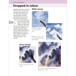 The Watercolour Artist's Bible in der Gruppe Basteln & Hobby / Bücher / Lehrbücher bei Pen Store (136295)