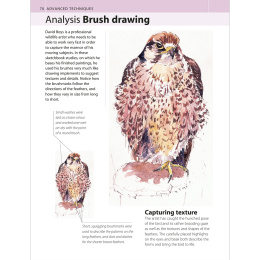 The Watercolour Artist's Bible in der Gruppe Basteln & Hobby / Bücher / Lehrbücher bei Pen Store (136295)