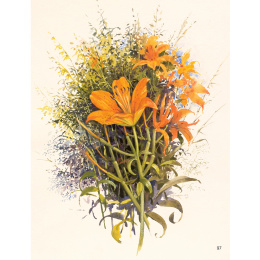 The Art of Gouache in der Gruppe Basteln & Hobby / Bücher / Lehrbücher bei Pen Store (136297)