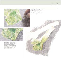 The Encyclopedia of Coloured Pencil Techniques in der Gruppe Basteln & Hobby / Bücher / Lehrbücher bei Pen Store (136298)