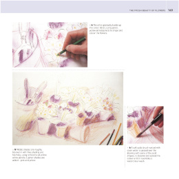 The Encyclopedia of Coloured Pencil Techniques in der Gruppe Basteln & Hobby / Bücher / Lehrbücher bei Pen Store (136298)