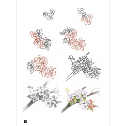 Draw 100: Flowers in der Gruppe Basteln & Hobby / Bücher / Inspirationsbücher bei Pen Store (136315)