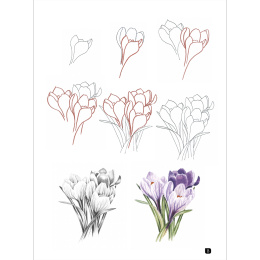 Draw 100: Flowers in der Gruppe Basteln & Hobby / Bücher / Inspirationsbücher bei Pen Store (136315)