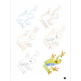 Draw 100: Animals in der Gruppe Basteln & Hobby / Bücher / Inspirationsbücher bei Pen Store (136316)