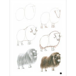 Draw 100: Animals in der Gruppe Basteln & Hobby / Bücher / Inspirationsbücher bei Pen Store (136316)