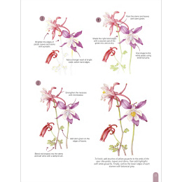 Paint 50: Watercolour Flowers in der Gruppe Basteln & Hobby / Bücher / Lehrbücher bei Pen Store (136318)