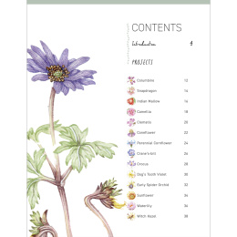 Paint 50: Watercolour Flowers in der Gruppe Basteln & Hobby / Bücher / Lehrbücher bei Pen Store (136318)