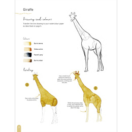 Paint 50: Watercolour Animals in der Gruppe Basteln & Hobby / Bücher / Lehrbücher bei Pen Store (136319)