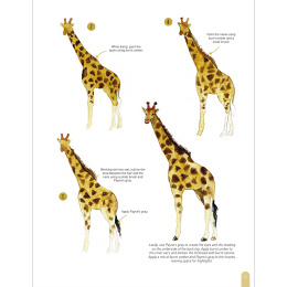 Paint 50: Watercolour Animals in der Gruppe Basteln & Hobby / Bücher / Lehrbücher bei Pen Store (136319)