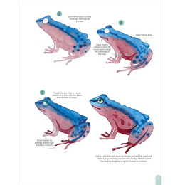 Paint 50: Watercolour Animals in der Gruppe Basteln & Hobby / Bücher / Lehrbücher bei Pen Store (136319)