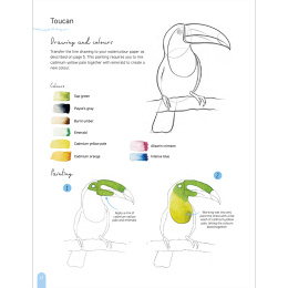 Paint 50: Watercolour Animals in der Gruppe Basteln & Hobby / Bücher / Lehrbücher bei Pen Store (136319)