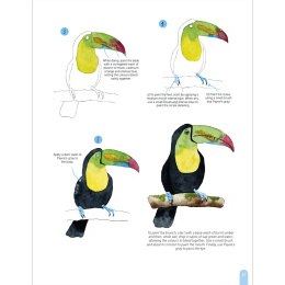 Paint 50: Watercolour Animals in der Gruppe Basteln & Hobby / Bücher / Lehrbücher bei Pen Store (136319)